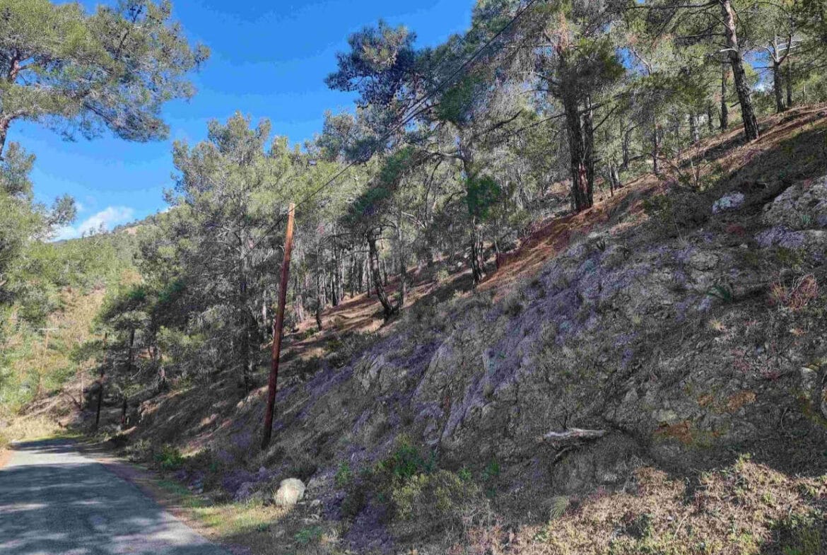 Prime Residential Land