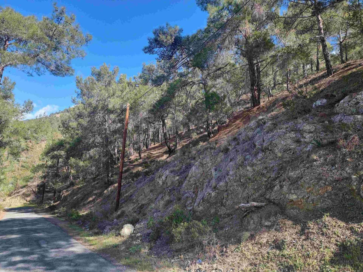 Prime Residential Land