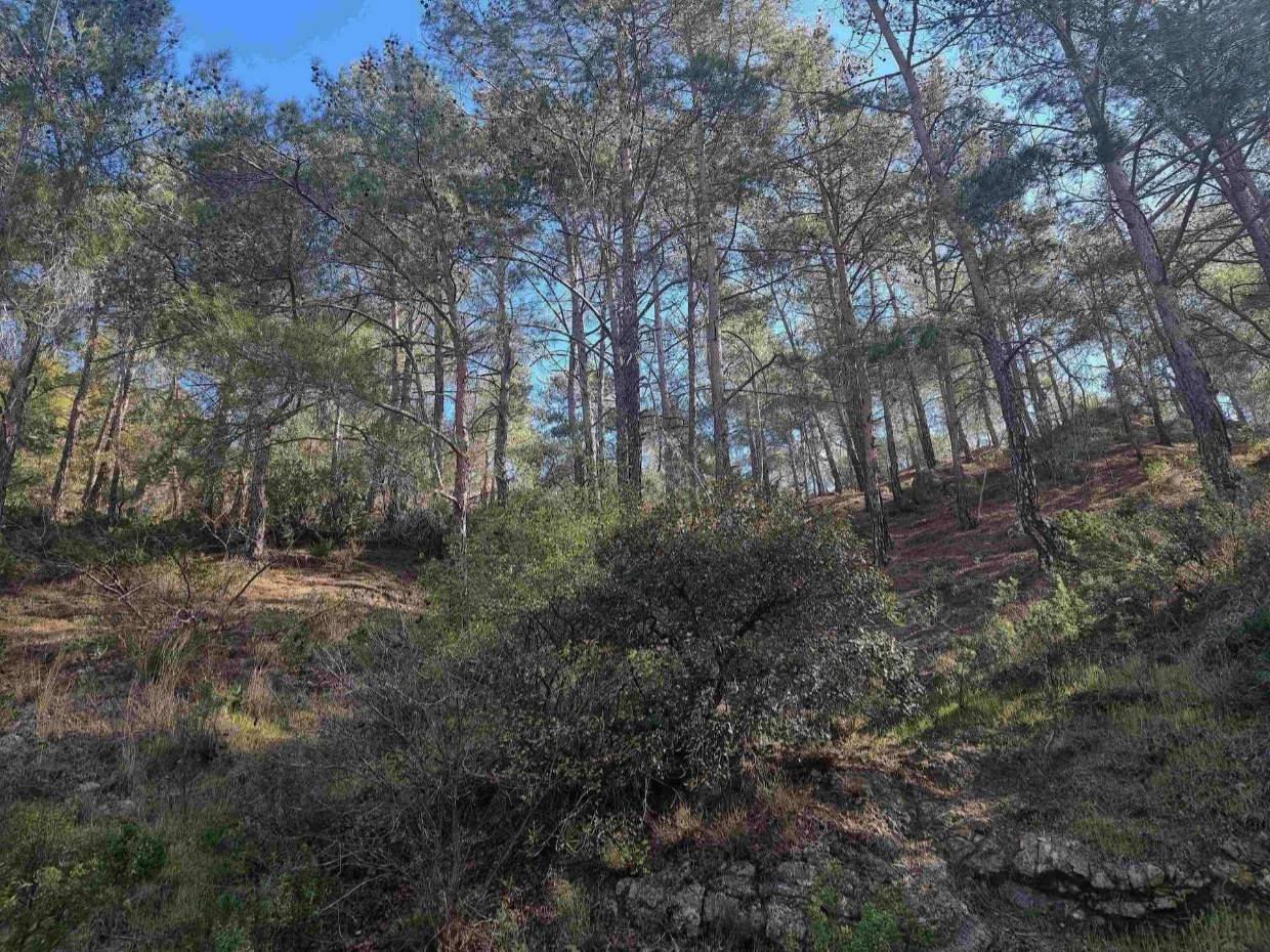 Prime Residential Land