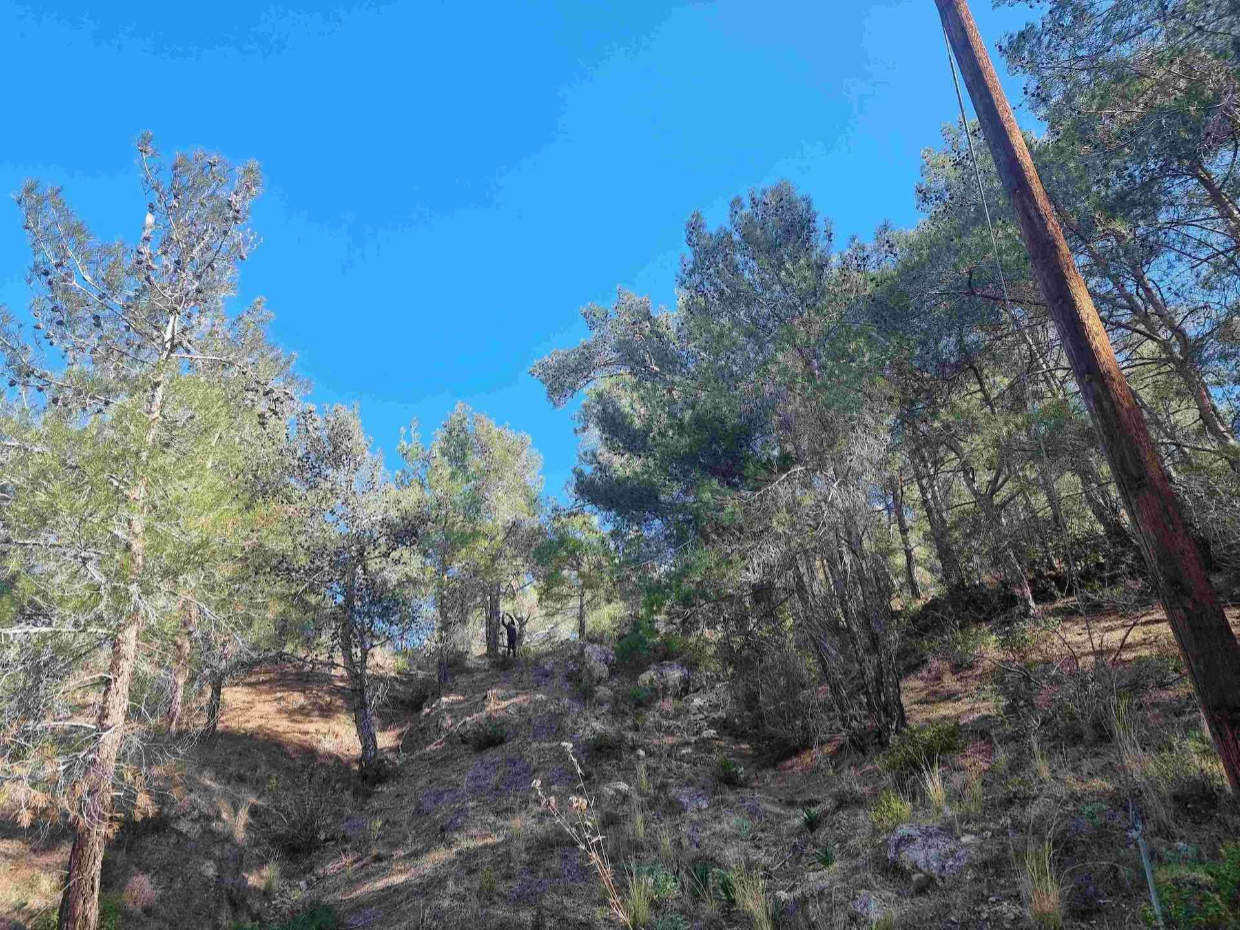 Prime Residential Land