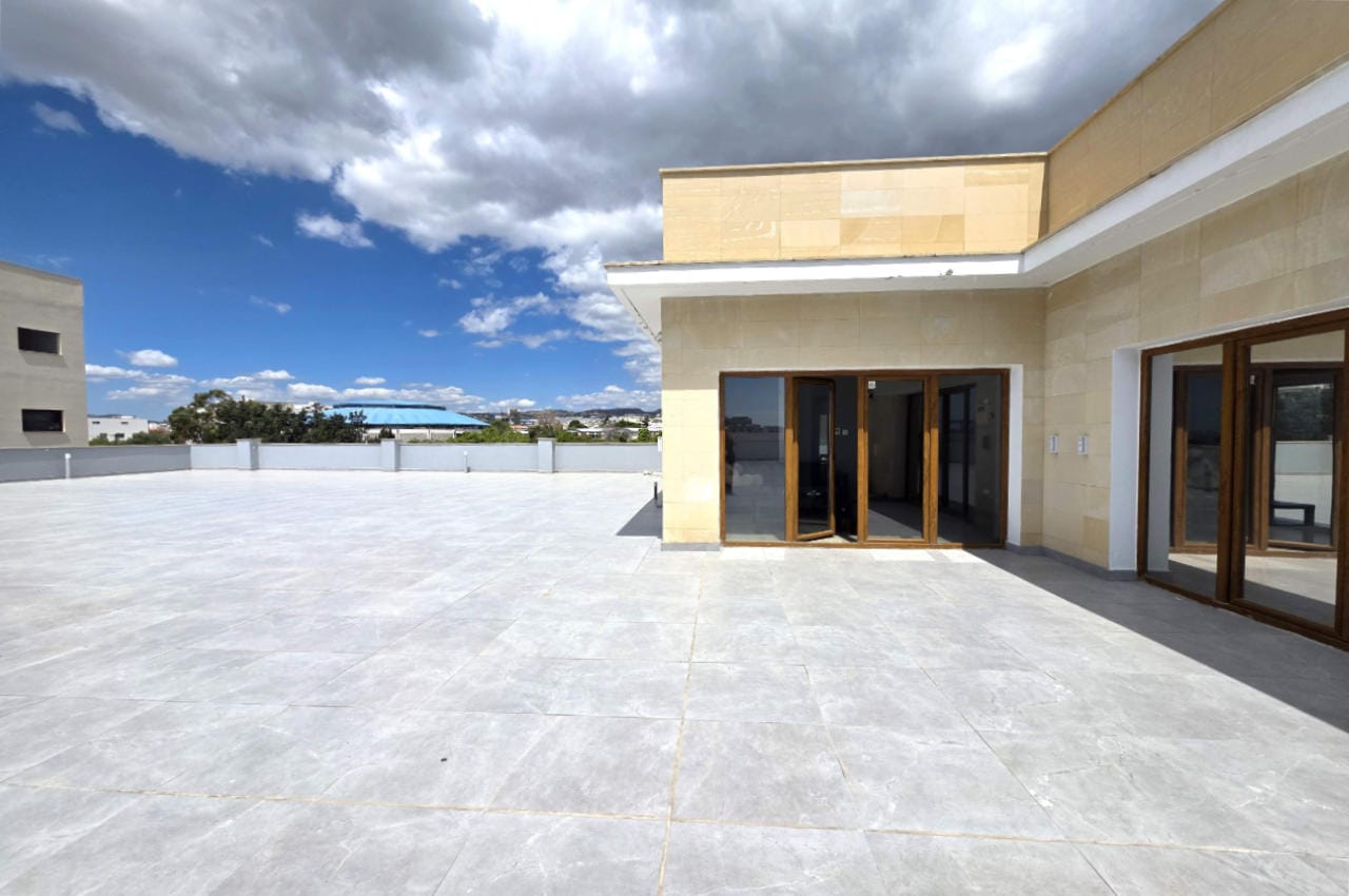 1491-4 Full Floor Penthouse Office | Limassol